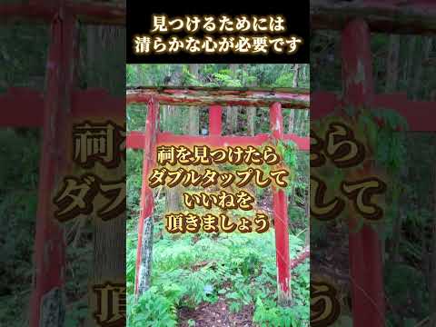 【10秒参拝】疲れた心身を浄化する波動です。#浄化