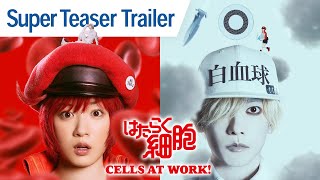 CELLS AT WORK! | Super Teaser Trailer