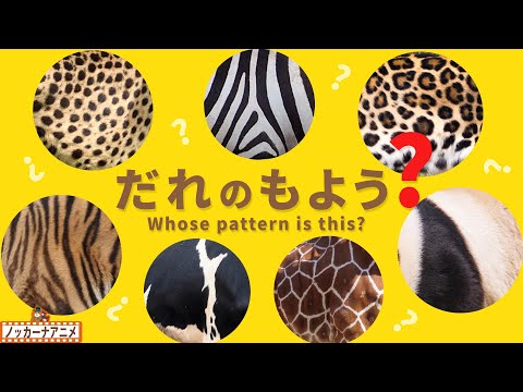 【だれの模様？】動物の柄でなまえ当てクイズ！知育アニメ【赤ちゃん・子供向け動画】Whose pattern is this? / Animal