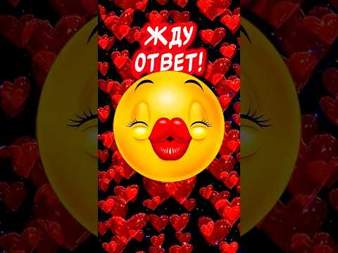 Я Тебя Люблю❤️ А Ты? Жду ответ! #люблю #ятебялюблю #музыкальнаяоткрытка