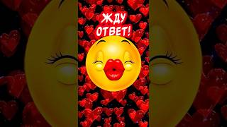 Я Тебя Люблю❤️ А Ты? Жду ответ! #люблю #ятебялюблю #музыкальнаяоткрытка