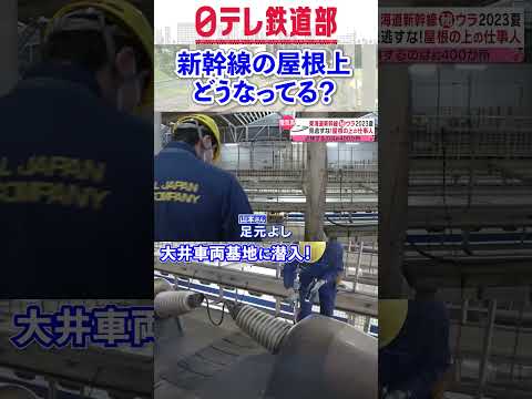 【新幹線の屋根に乗る】新幹線の舞台ウラ 安全運行を守る仕事人たちに密着『every.特集』〔日テレ鉄道部〕