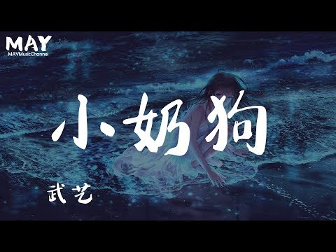 武艺  小奶狗  ( 抖音热歌 抖音 tiktok 2019 新歌 )【 你就是我可爱的小奶狗 摇着尾巴冲我要骨头 可怜巴巴的眼神看着我 像在告诉我 说擦浪黑油 】 动态歌词lyrics