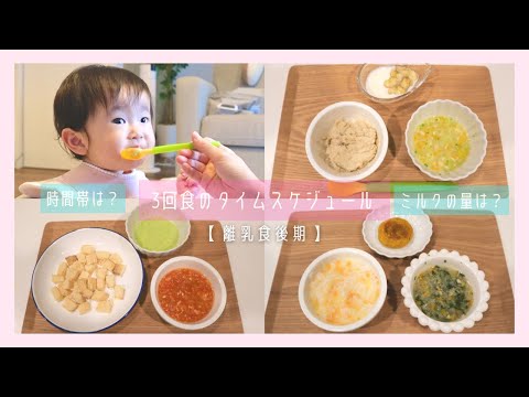 【離乳食後期】離乳食が3回食になった1日のタイムスケジュール/手づかみ食べ〈生後10ヶ月〉