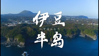 【海外旅遊】2024/25 超越之旅 日本 伊豆半島