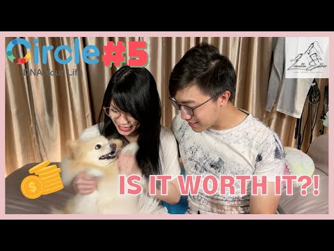 Circle DNA review!! OUR FINAL VERDICT FROM SINGAPORE! | 我们的Circle DNA评论! 来自新加坡的最终裁决!  [Vlog #13]