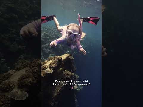 Mermaid life 🧜🏼‍♀️💕 #freedive #islandlife #shipwreck