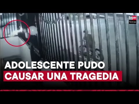 Piura: menor lanzó pirotécnico contra vivienda y casi hiere a perritos