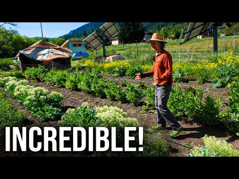 3000 Organic Farms In Australia Work This Way - Australian Farming