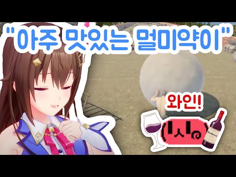 마법의 멀미약과 마성의 와인이 만나 바위가 되었습니다(아님)[홀로라이브/ 토키노 소라]