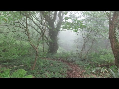 櫃ケ山登山