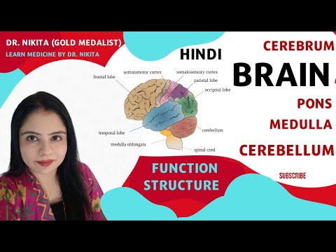 Parts of Brain Fore Brain Mid Brain Hind Brain| Cerebellum Cerebrum| Fore Brain Mid Brain Hind Brain