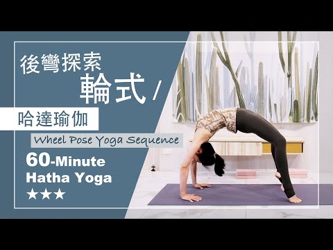 60分鐘 哈達瑜伽【輪式】Hatha Yoga ★ ★ ★ #活絡心輪 #進階瑜伽 #瑜珈後彎 #wheelpose