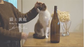 【 一升瓶の煮沸消毒 】自宅の鍋で簡単にできる