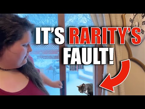 Amber Blames Rarity for Going Missing - Amberlynn Reid Reaction