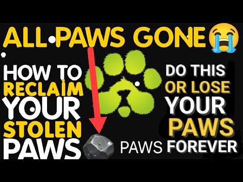 ALL PAWS GONE😭 HOW TO RECLAIM YOUR STOLEN PAWS || DO THIS OR LOSE YOUR PAWS FOREVER