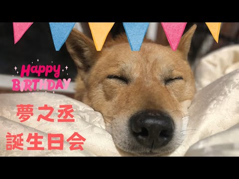 【生配信】夢之丞誕生日をみんなでお祝いしませんか？