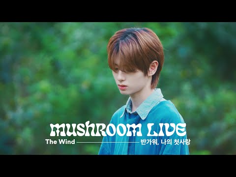 MUSHROOM LIVE SPECIAL 더윈드 The Wind - 반가워, 나의 첫사랑(Acoustic Ver.)