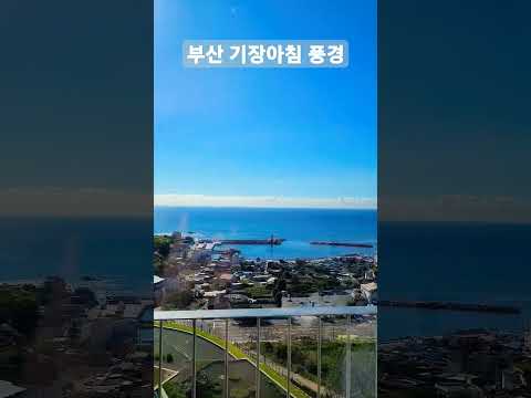 여기가 한국인지 해외인지 헷갈리게 만드는 모닝뷰-아난티앳부산