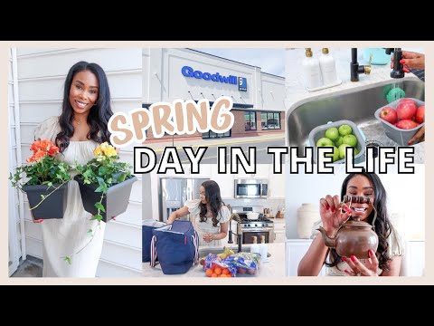 SPRING DAY | ALDI GROCERY HAUL, THRIFT HAUL, GARDEN PLANS & FOOD PREP // LoveLexyNicole