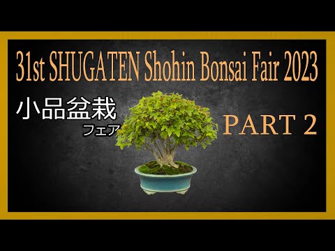 31st SHUGATEN Shohin bonsai Fair 2023 - 31回秋雅展2023 小品盆栽フェア (PART 2)