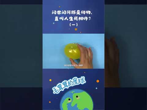 谁能拒绝这只呆萌小毒物的诱惑！#日常 #科普 #动画片 #创意 #脑洞大开 #科学 #动画 #动物 #想象力【毛茸茸的星球】