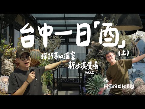 台中一日『酉』探訪夢幻級塊根溫室！台中竟有占地兩千坪的新沙洲廣場！? ft.阿金的便秘花園  |  酉5PM、台中 PARK2 草悟廣場【出門找塊肉-台中(上)】