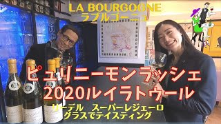 憧れの白ワインの頂点！ピュリニーモンラッシェ飲む！ルイラトゥール、ピュリニーモンラッシェ2020入荷して試飲しています。