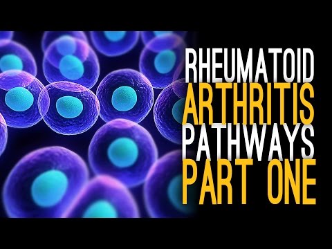 Rheumatoid Arthritis Pathways with Dr. Kalliolias [Part 1]