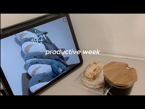 study vlog | productive week in my life | studying for improve myself & complete vacation homework