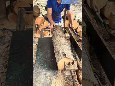 Wood cutting #woodworking #wood #shortvideo #woodcutting #woodcarving #woodindustry