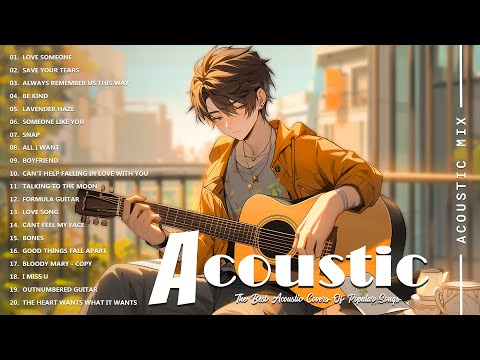 Best Acoustic Cover - Chill Acoustic Love Songs Playlist 2024 - Top songs 2024 new popular songs