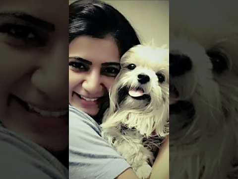 Samantha baby with her dog 🐶#samantharuthprabhu #samanthaprabuakkineni #fyp #yourubeshorts #viralvid