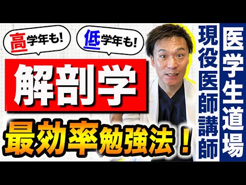 卒業するまでずっと役立つ「解剖学の正しい勉強法」ベスト３を、現役の医師講師が伝授します！(医学部,効率のいい勉強,勉強法,低学年,高学年,進級,基礎医学)