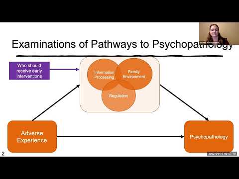 RDoC Perspective to the Developmental Consequences of Early Life Stress on Risk for Psychopathology