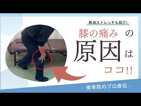 【膝の痛み〜骨壊死〜】ある日、突然、膝に激痛が走り歩けなくなる。または膝が急に曲がらなくなって力が抜けてしまう方へのストレッチと対処法！｜接骨院のプロが教えるお家セルフケア｜テラピスト接骨院