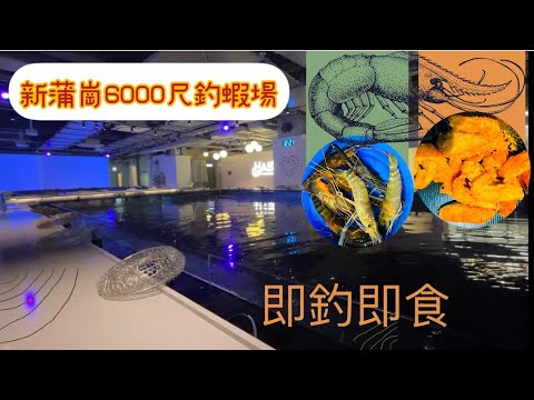 新蒲崗6000尺室內釣蝦場 🦐| HABO蝦堡 | 即釣即食😋 HK shrimp fishing エビ釣り