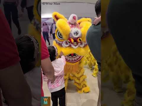 Chinese New Year Celebration in Dubai Silicon Central Mall #dubai #newyear #chinese #shorts