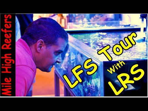 Checking Out Local Reef Stores with Larry DuPont