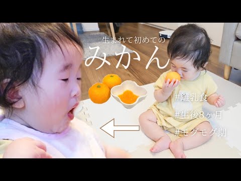 【離乳食】はじめてのみかん！赤ちゃんの反応が可愛い/薄皮のむき方/生後8ヶ月