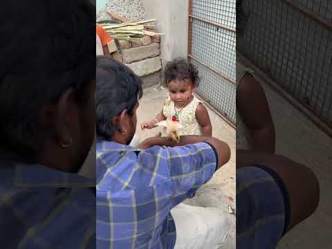 Navvula  Putthadi Bomma🥰😘😘😘#trending #youtubeshorts #ytshorts #shorts#trendingshorts #viral