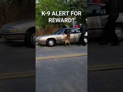 SHOULD A K-9 BE REWARDED IF IT ALERTS THE COP