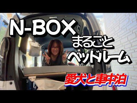 【N-BOX】をまるごとセミダブルベッドにしました！平日は引きこもりの在宅勤務主婦が1週間で車中泊に快適な空間をイレクターパイプでDIY#愛犬 #50代 #埼玉県 #トイプードル #ベッドキット