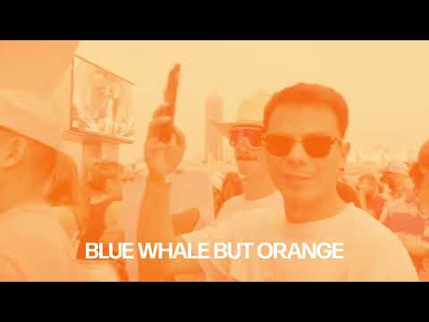 Whethan x Emei - SUNNYD (Lyric Video)