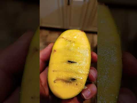 Have you ever had a pawpaw ? #fruit #weird #nativeamerican #foodie #shorts