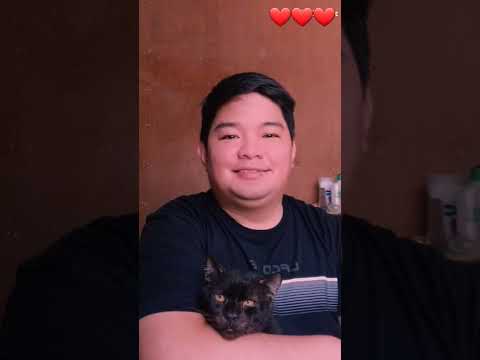 Ginoong RC & Cookie. Please subscribe, thank you!❤#catlover #animallover #cookiecat #short #shorts