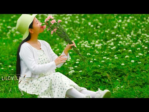 SUMMER DREAM - BEST NEW AGE AND AMBIENT MUSIC - THE MOST BEAUTIFUL NATURE - PLACE OF NATURAL BEAUTY