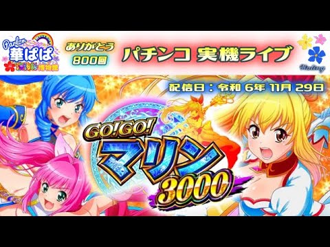 🎉800回記念配信🎉パチンコ ライブ【 GOGO マリン 3000・海物語フレンズ 】《 パーラー華ぱぱ・海物語 博物館 》令和 6年 11月 LIVE ⑰・No.800