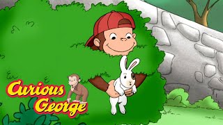 George Meets A New Animal Friend 🐵 Curious George 🐵 Kids Cartoon 🐵 Kids Movies