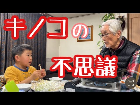 キノコの追究が止まらない4歳、答える78歳